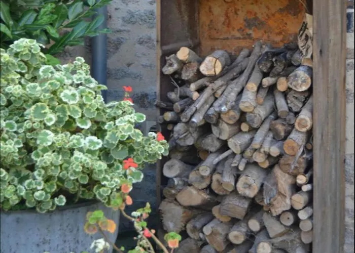 לינה וארוחת בוקר Demeure Du Castel Les Châtelliers-Châteaumur